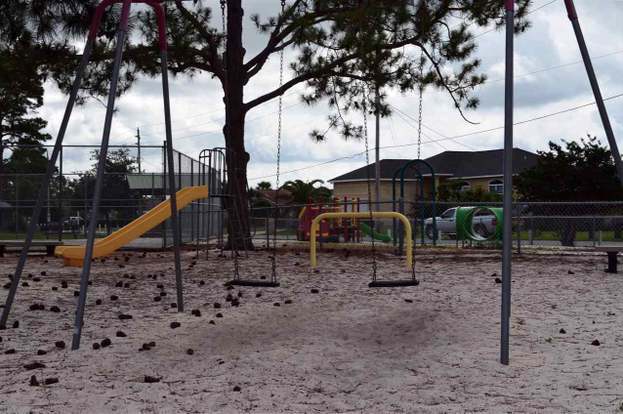 Building Photo - 1223 Redwood Ln