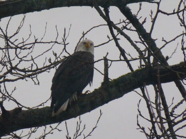 Building Photo - 1611 Vernon Rd