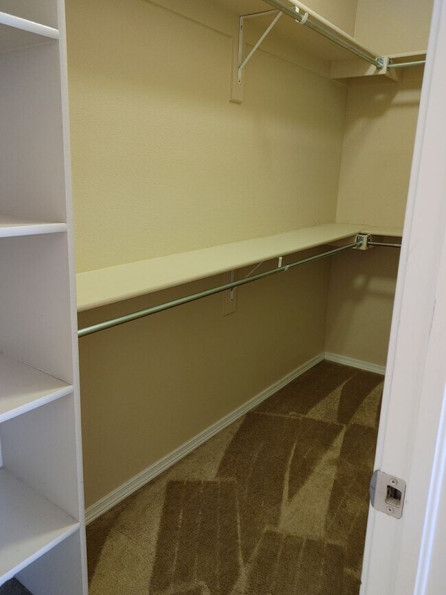 Building Photo - Stylish & Spacious 2BD Townhome in Stetson...