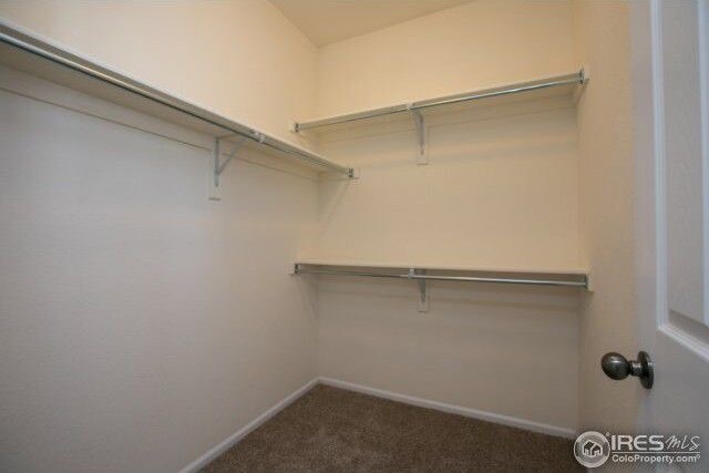 Main floor Primary Suite walk in closet - 5109 Fruited Plains Ln
