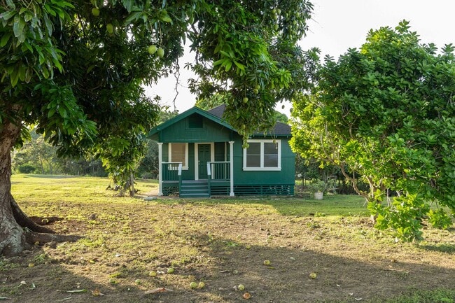 Building Photo - Newly Renovated Waialua Home on 1 Acre w/ Mountain Views – Pets Welcome