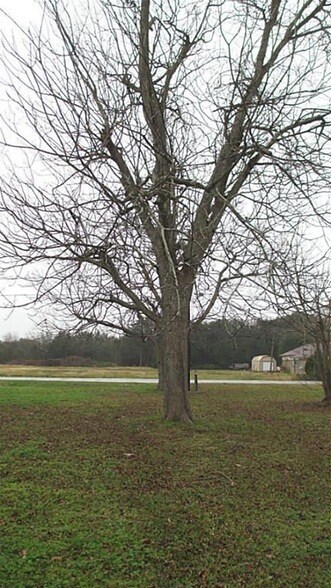 Building Photo - 7017 Caldwell St