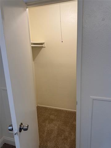 Building Photo - 3716 Mulberry Ln