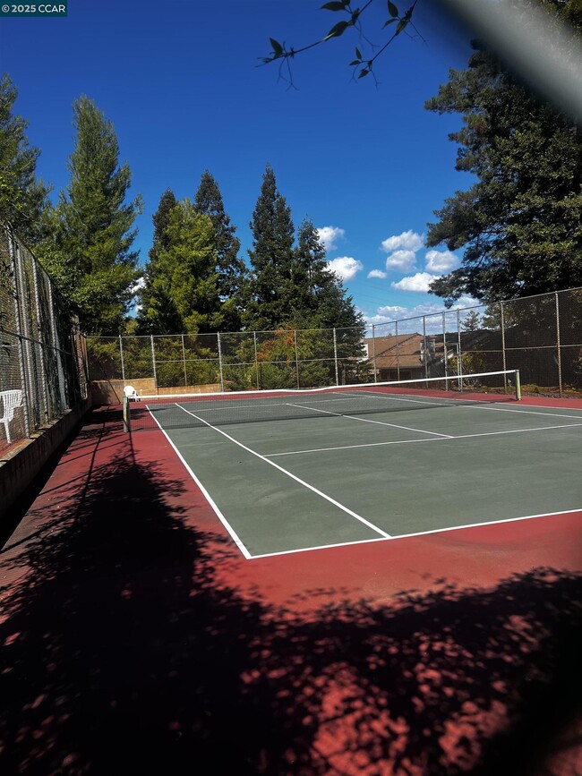 Building Photo - 242 Via El Dorado Ln