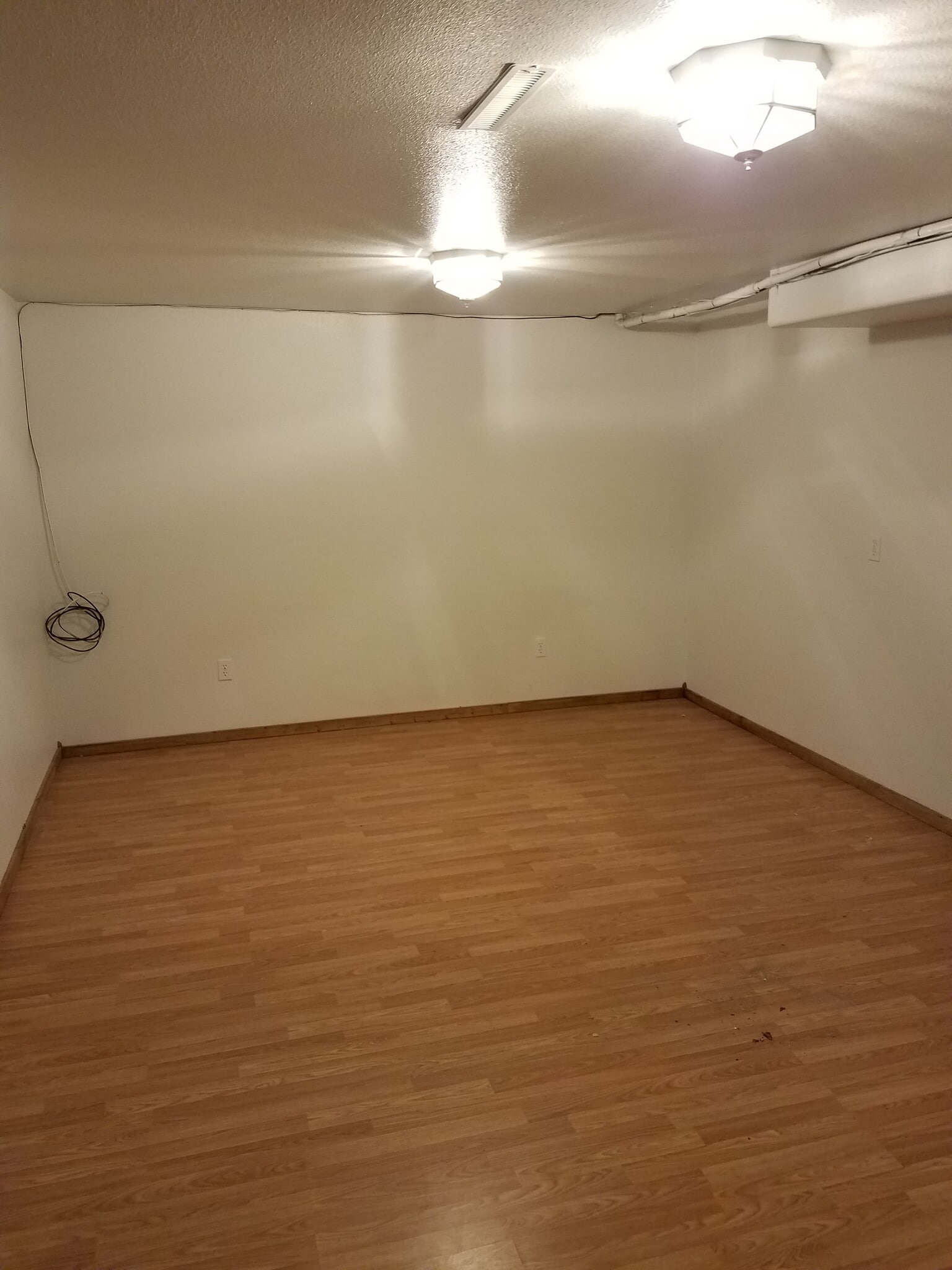 basement family room - 1616 Lake Elmo Dr