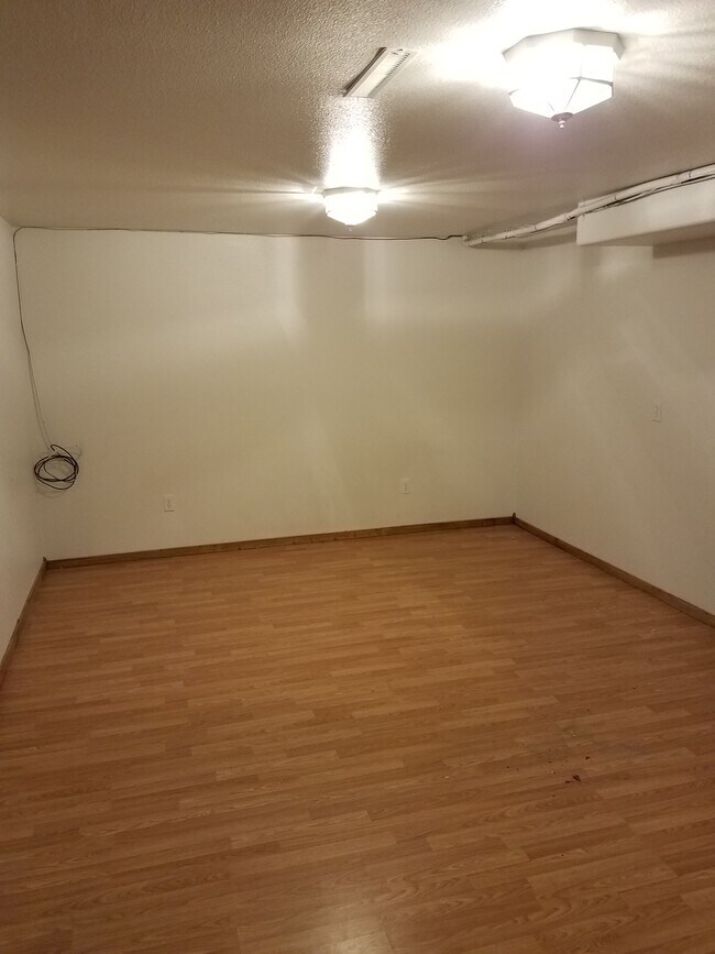basement family room - 1616 Lake Elmo Dr
