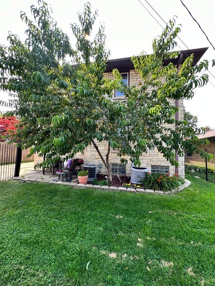 Back Yard - 3508 S Pine Ave