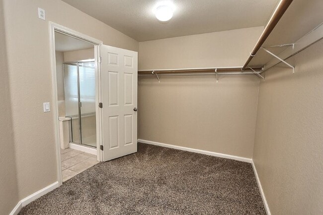 Building Photo - Beautiful 4 Bed 3 full bath Natomas Home!!