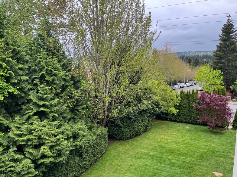 View From Deck - 12429 NE 130th Ct