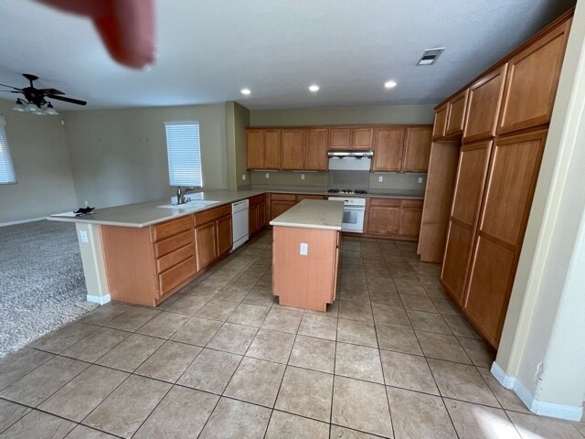 Building Photo - 10902 Prairie Stone Pl