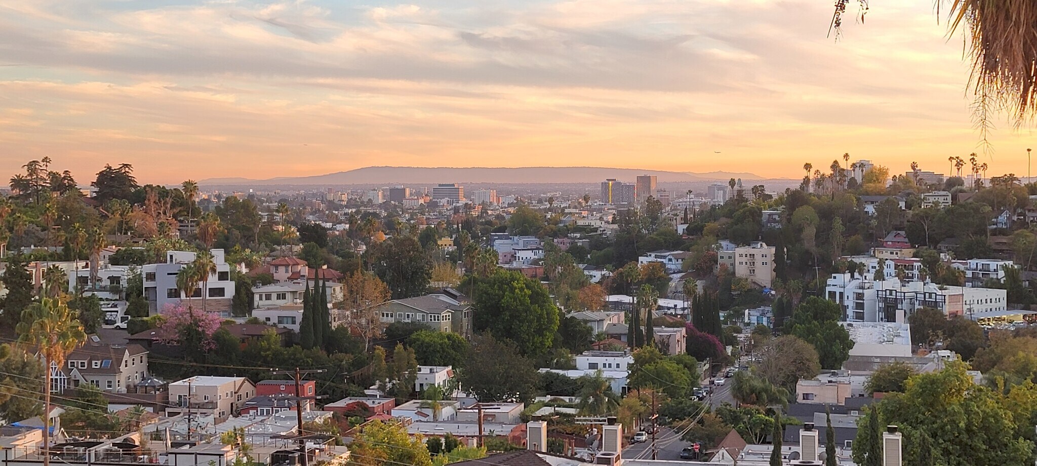 Balcony / Living Room View - 1707 Micheltorena St