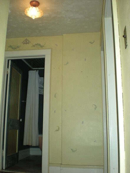 upper hallway - 135 Roney Rd