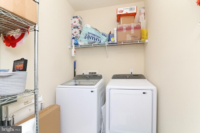 Building Photo - 5322 Palomino Ct