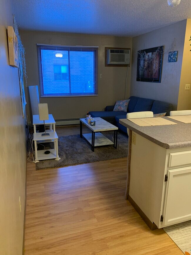 402 S Gilbert St 402 S Gilbert St Iowa City IA 52240 Apartment Finder