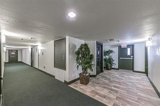 Building Photo - 1025 Swanson St