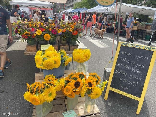 Building Photo - 1618 N Danville St