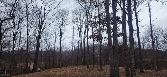 Building Photo - 6965 Chandlersville Rd