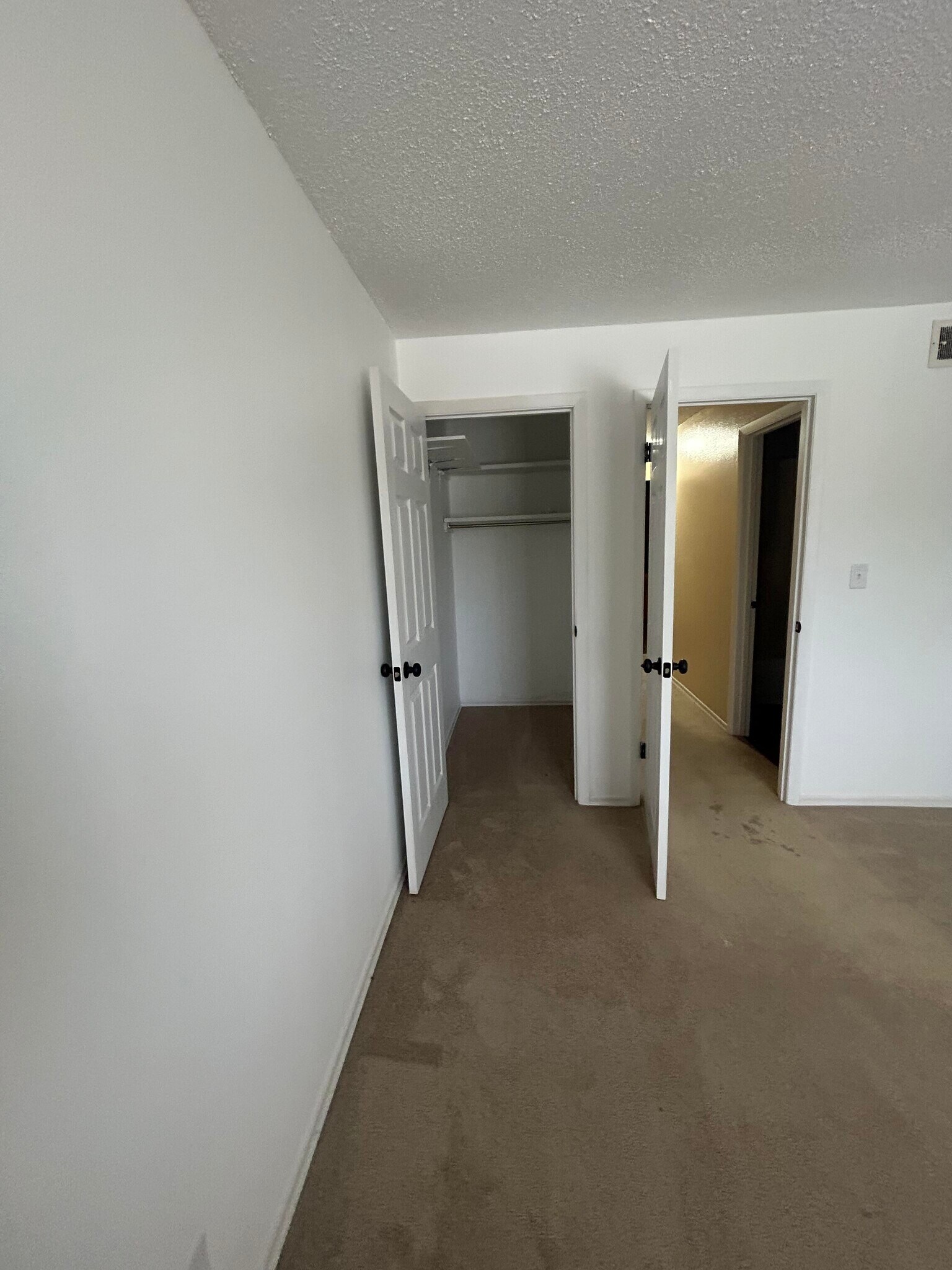 2nd Bedroom Walk in Closet - 1233 Guelbreth Ln