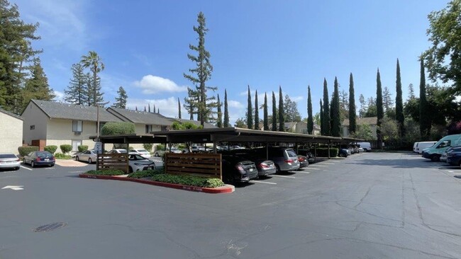 Building Photo - Walnut Creek! 1 bedroom 1 bathroom, Walk t...