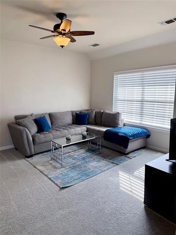 Building Photo - 6005 Blue Spruce Ln