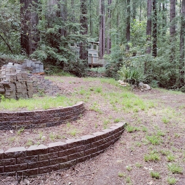 Building Photo - Charming Home Nestled in the Redwoods