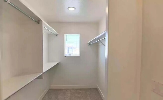 Building Photo - 3134 Halo Ln