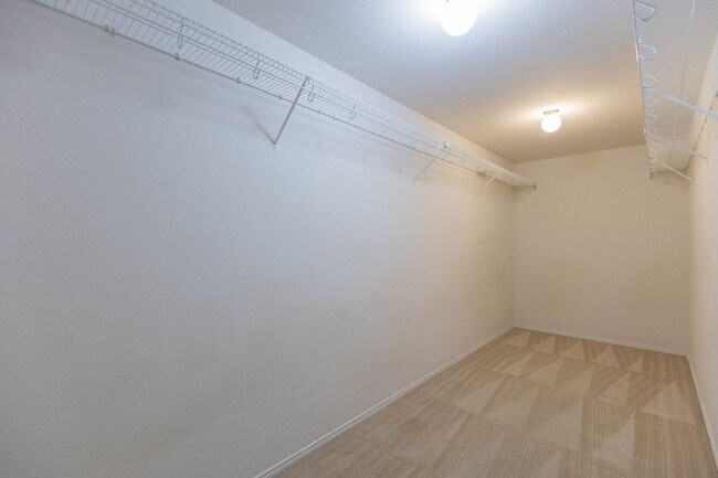 Building Photo - 11119 Rivera Cove
