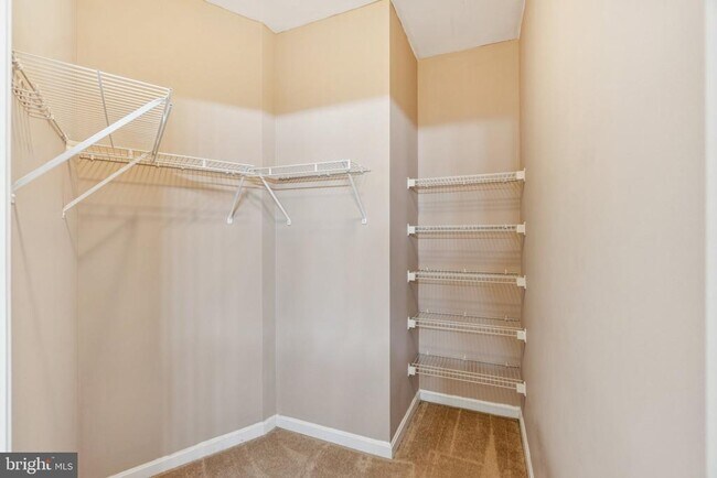 Building Photo - 4550 Strutfield Ln