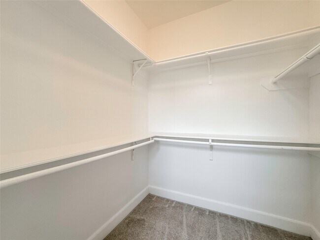 Building Photo - 1613 Cintola Ln