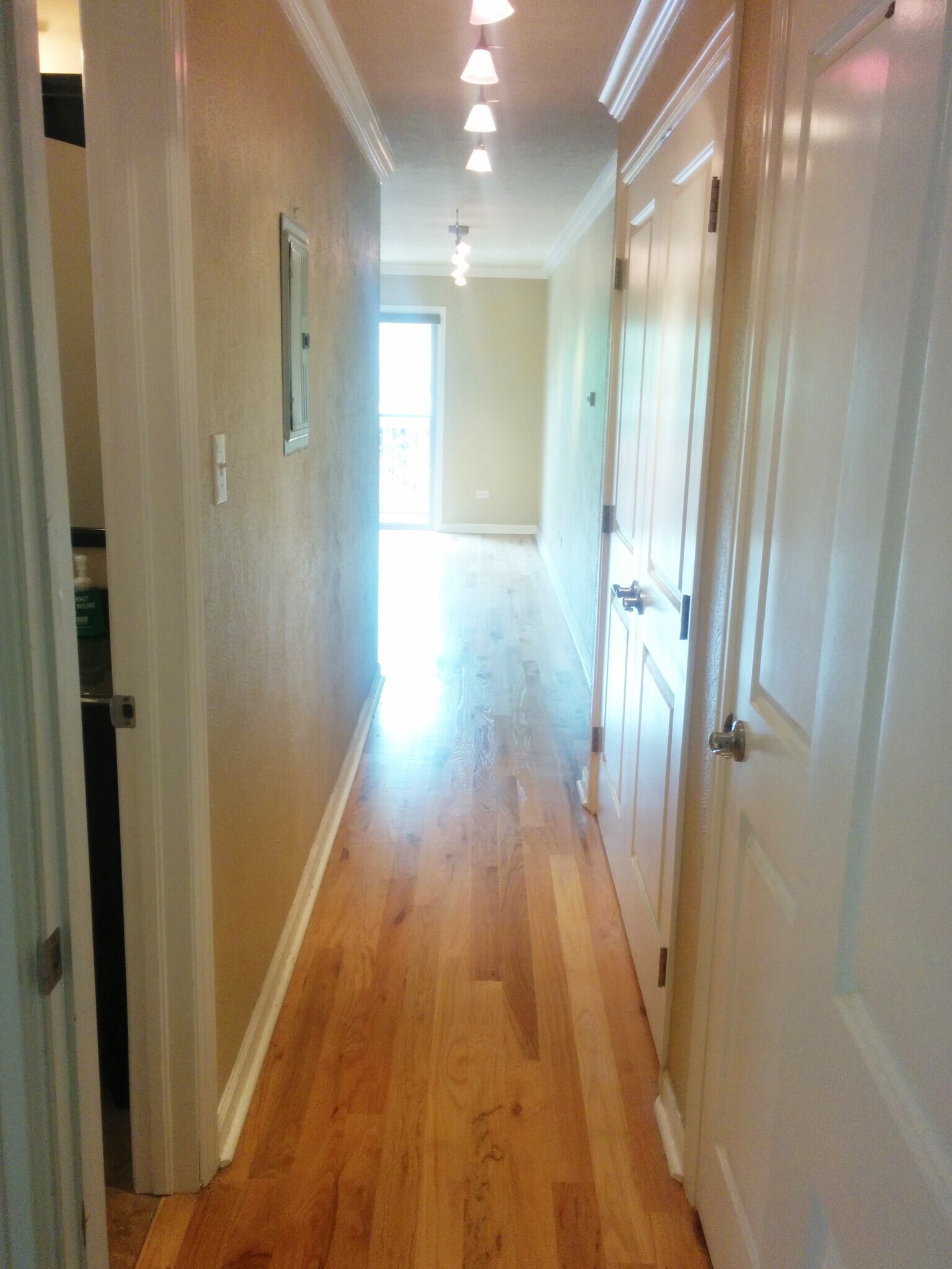 Building Photo - 1330 Elizabeth St