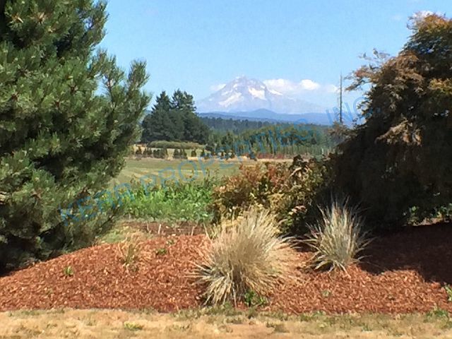 Building Photo - Charming 2-Bed Oasis with Spacious Comfort in Gresham!