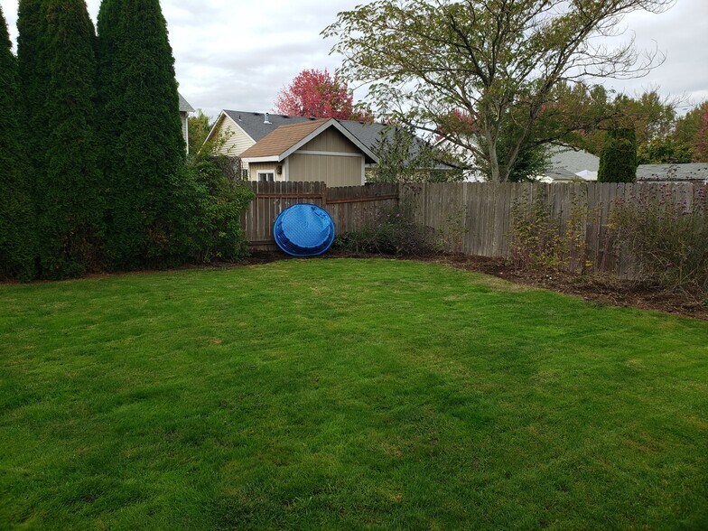 Backyard - 770 Hyacinth St