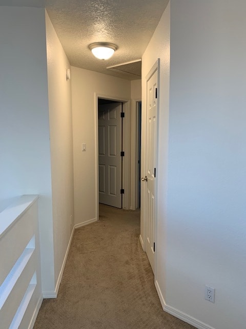 Building Photo - 8008 Argyle Ave NE