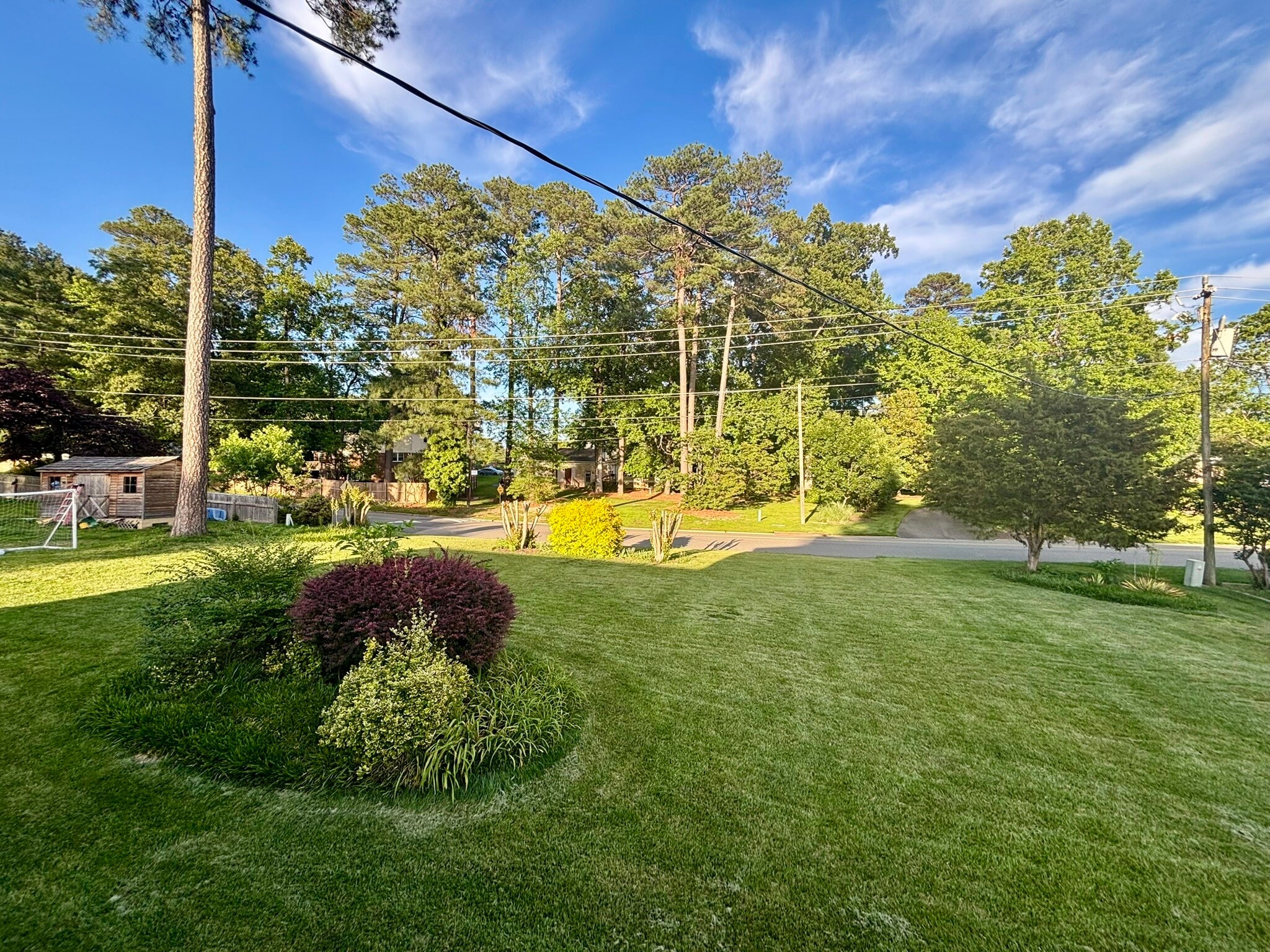 Large Backyard - 1101 Swissvale Pl