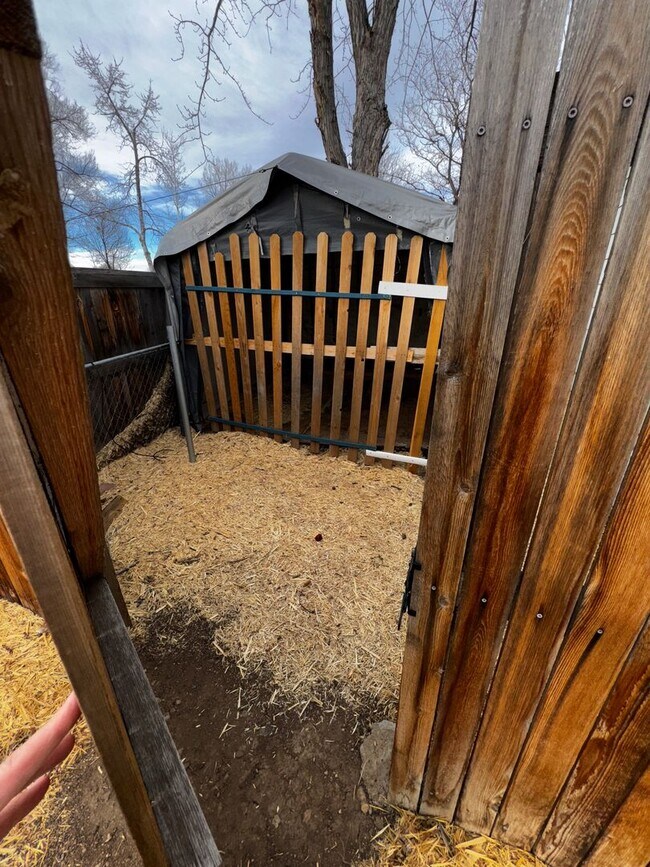 Building Photo - Clean 5 Bedroom Ranch in NW Fort Collins