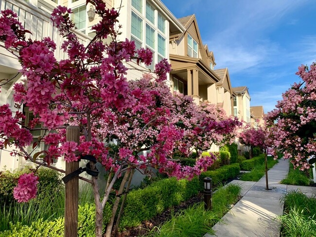 Building Photo - Perfect Shape Large 3 Story Single Family ...
