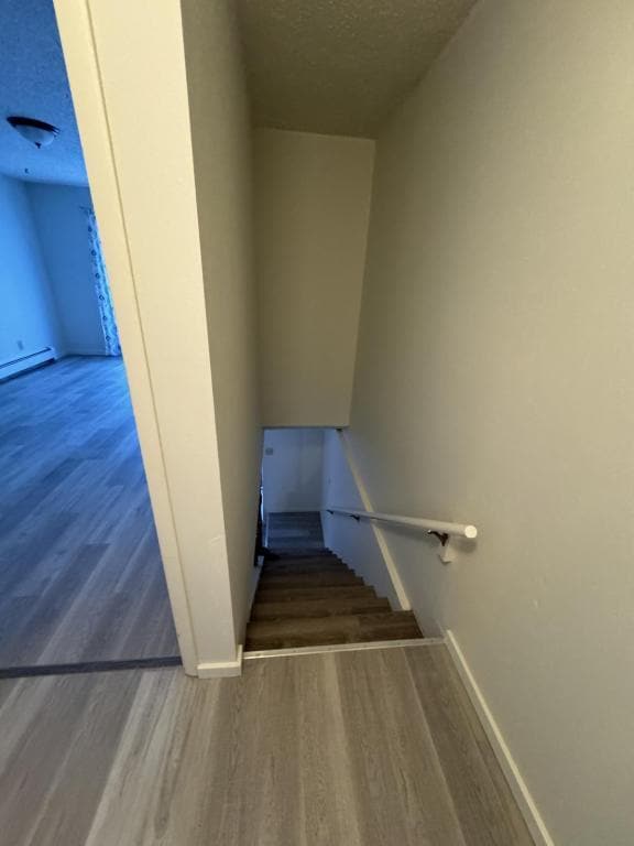 Building Photo - 207 Terrace Ave