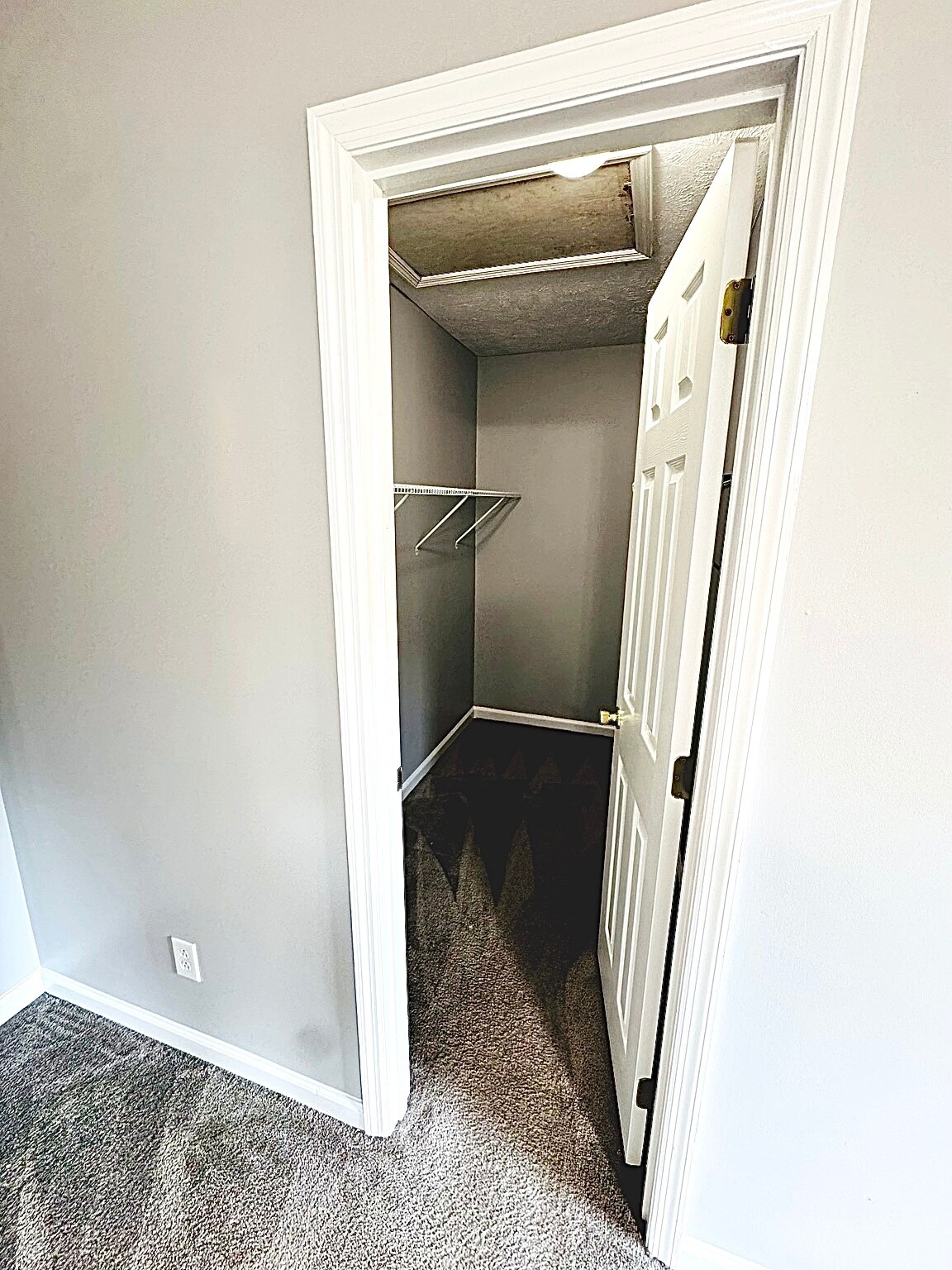 Building Photo - 5551 Robmont Dr