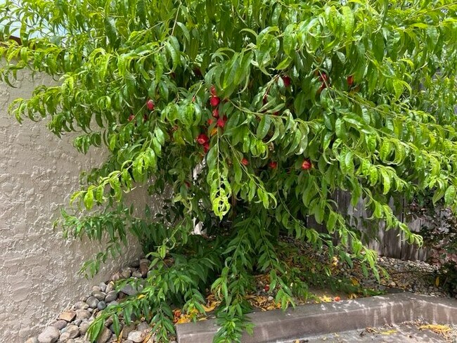 Building Photo - Gated Community! Beautiful 3bd/2.5bth in Folsom