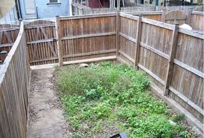 Building Photo - COMING SOON! Quiet block, cozy home - community garden, Calvert Street Park!