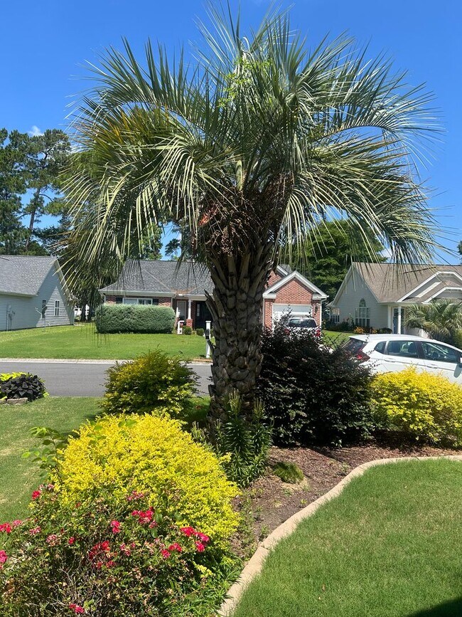 Building Photo - 1225 Ambling Way Dr