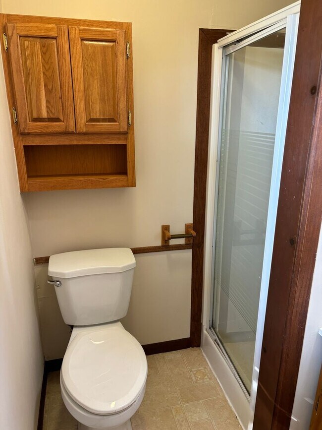 Building Photo - 3 Bedroom, 2.5 Bath House in Thomson, IL