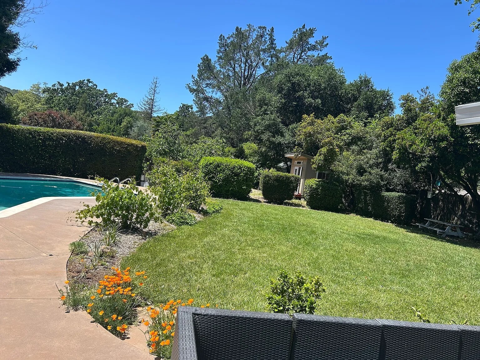 Backyard with the pool fence removed - 1415 Butterfield Rd