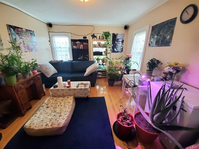 Building Photo - 41 Mount Pleasant St