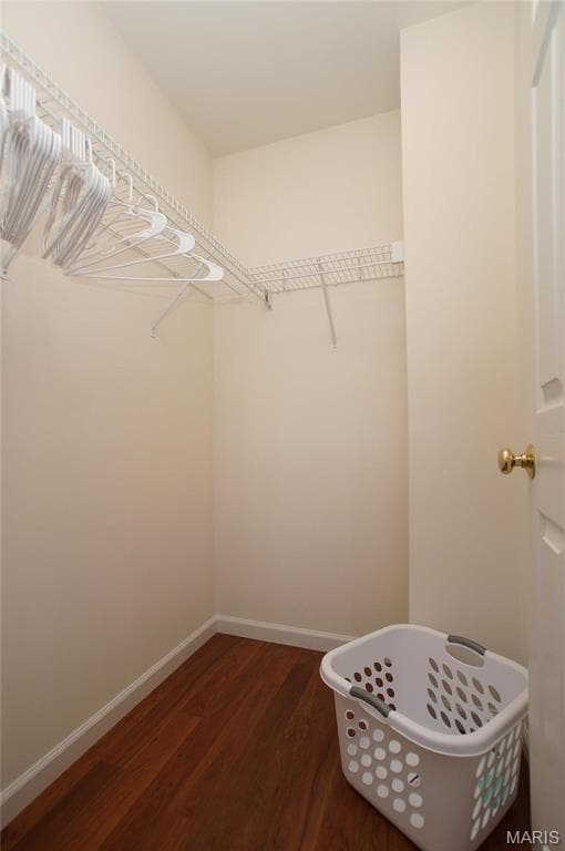 Building Photo - 619 Timber Creek Trail