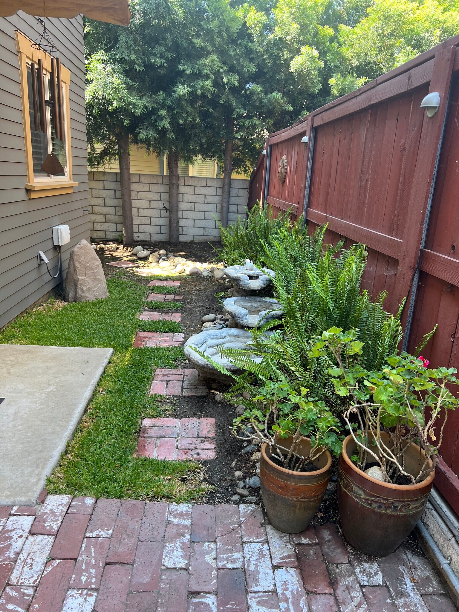 Back yard/Patio - 829 Sequoia Cir