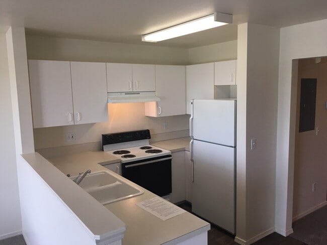 Kitchen - 2709 Wildwood Cir