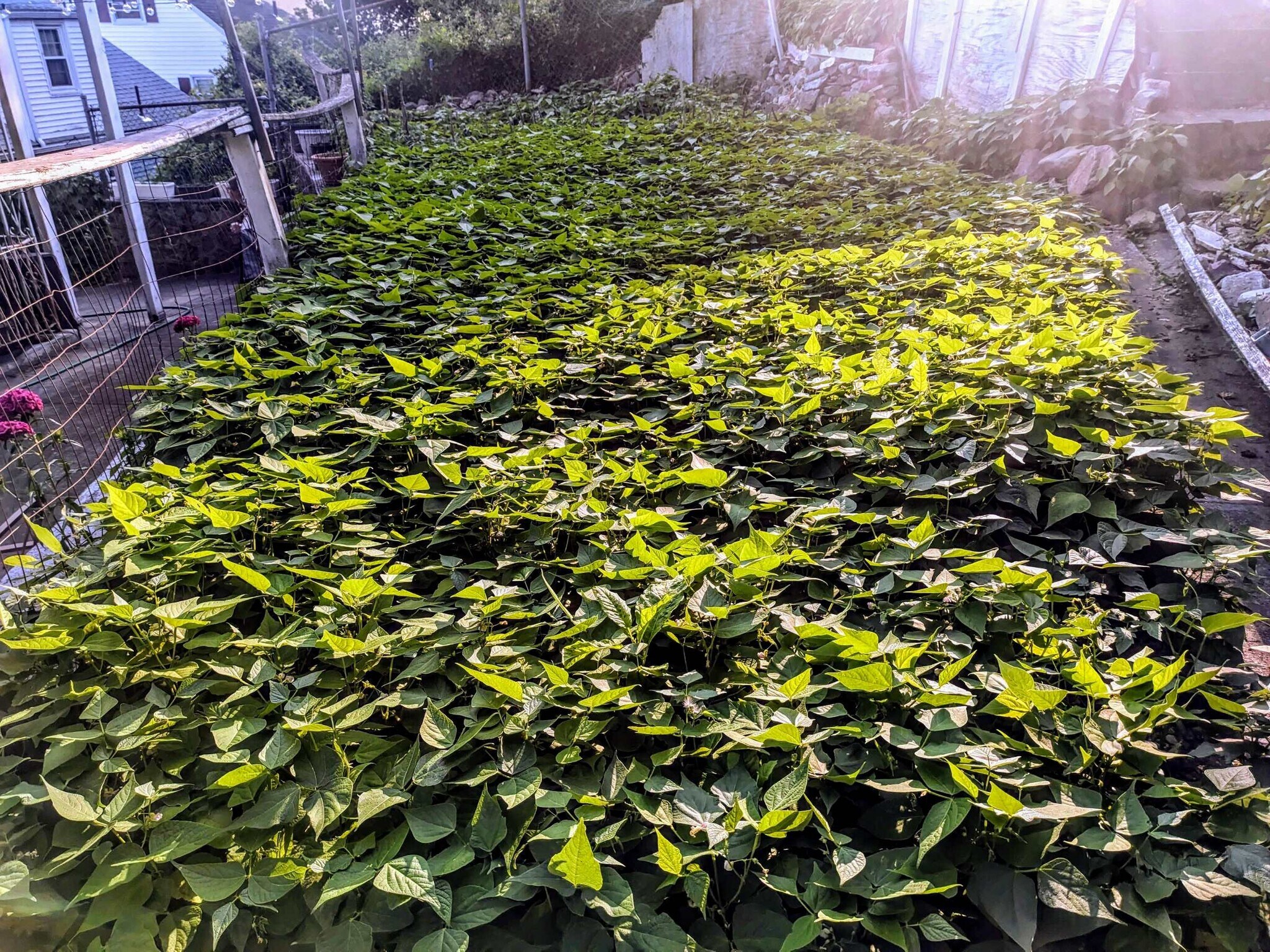 Building Photo - 63 Fenno St