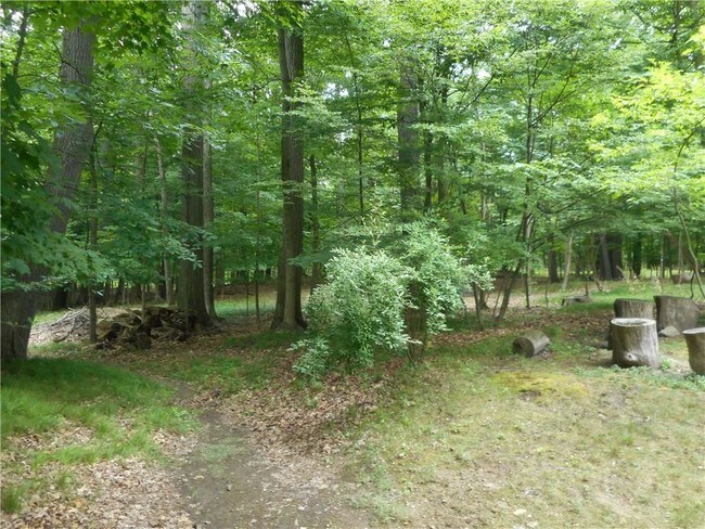 Building Photo - 1530 Scenic Hollow Dr