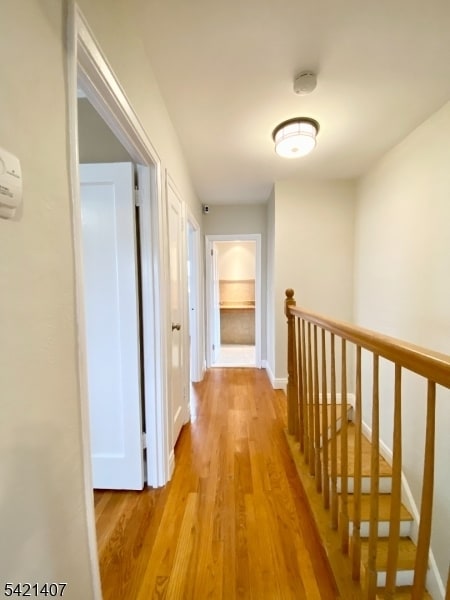 Building Photo - 29 Sussex Rd